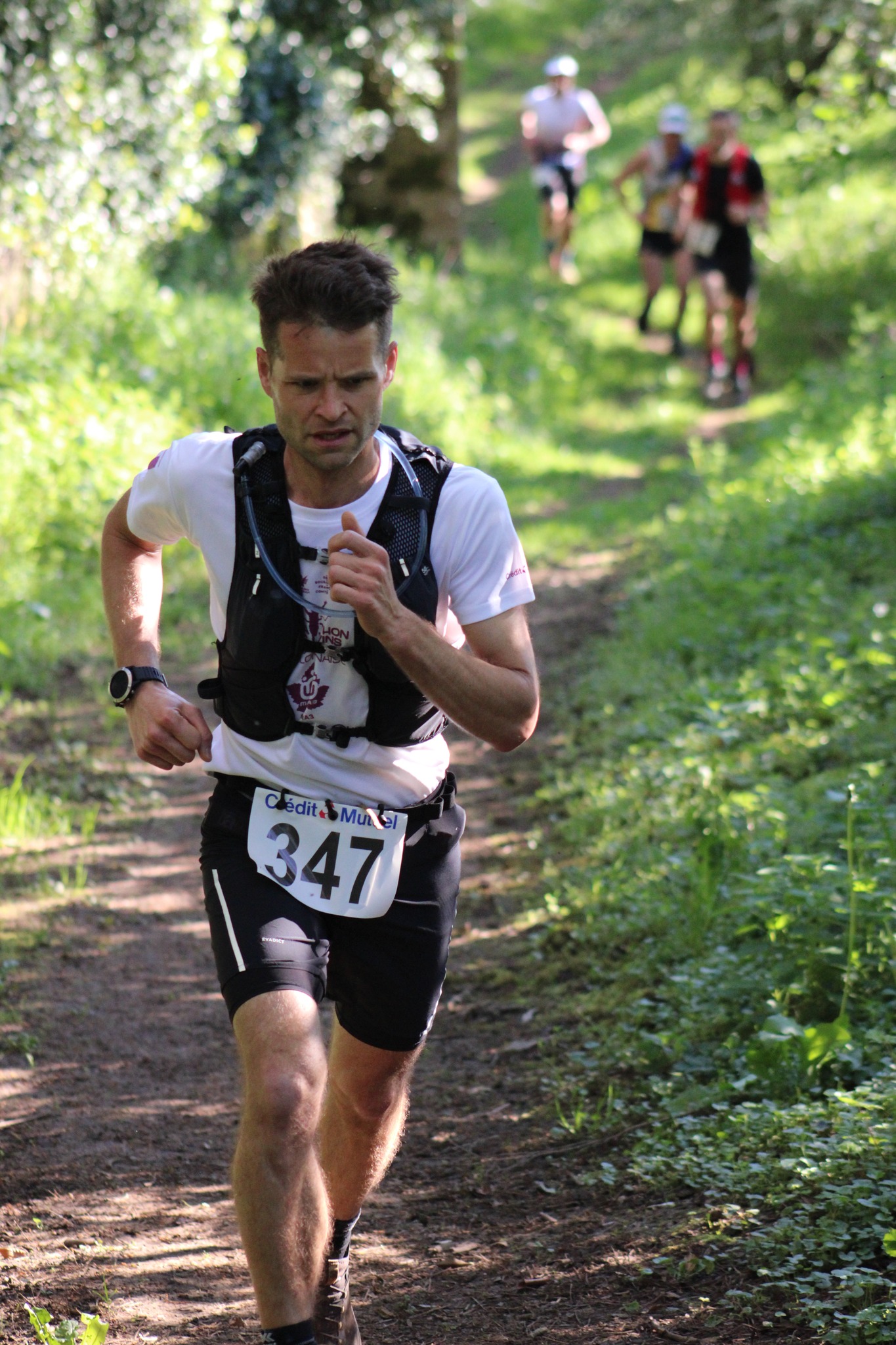 Trail du Grand Cabillonum - éditions précédentes